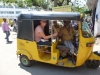 tuktuk-domineert-india