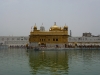 een-echte-gouden-tempel-in-amritsar